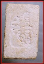 สมเด็จหลังลายเซ็นอาจารย์เชื้อหนูเพ็ชร(171) #2